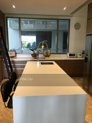 Leedon Residence (D10), Condominium #215901671